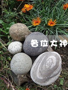 各位大神网贷都逾期多久了 各位大神网贷都逾期多久了