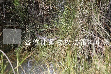 各位律师物权法第36条是什么啊