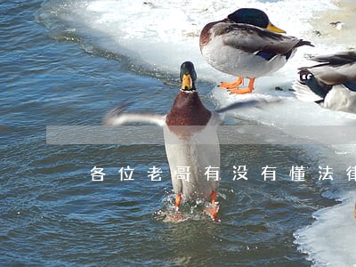 各位老哥有没有懂法律的啊