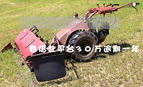 各借款平台30万逾期一年 各借款平台30万逾期一年