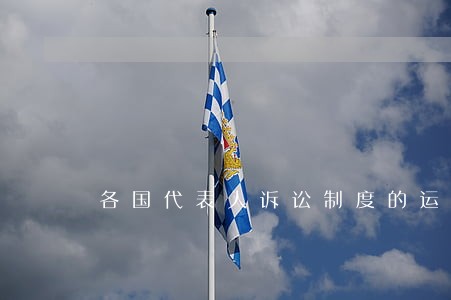 各国代表人诉讼制度的运用 各国代表人诉讼制度的运用
