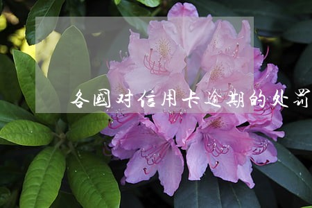 各国对信用卡逾期的处罚 各国对信用卡逾期的处罚