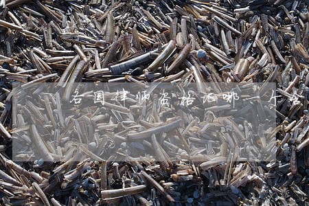 各国律师资格证哪一个含金量大 各国律师资格证哪一个含金量大