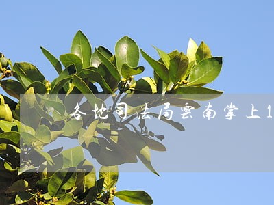 各地司法局云南掌上12348 各地司法局云南掌上12348