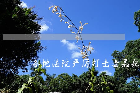 各地法院严厉打击毒品犯罪 各地法院严厉打击毒品犯罪