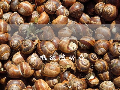 各地法院动态