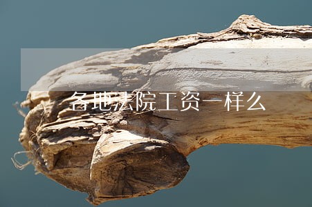 各地法院工资一样么 各地法院工资一样么