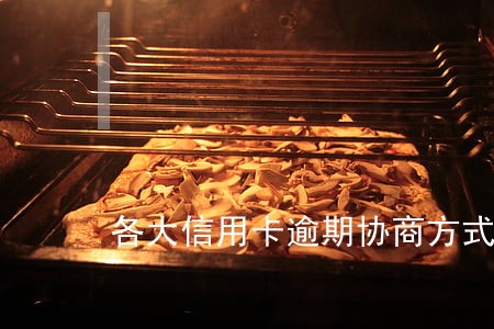 各大信用卡逾期协商方式