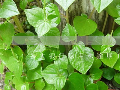 各大银行信用卡逾期15万