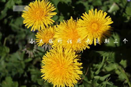 各大银行信用卡逾期三个月 各大银行信用卡逾期三个月