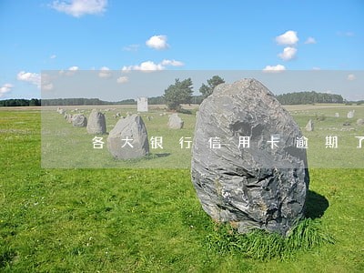 各大银行信用卡逾期了一天 各大银行信用卡逾期了一天