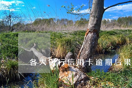 各大银行信用卡逾期后果 各大银行信用卡逾期后果