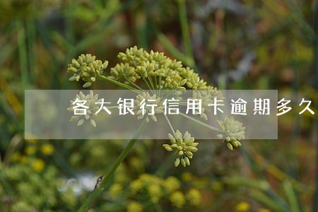 各大银行信用卡逾期多久上征信 各大银行信用卡逾期多久上征信