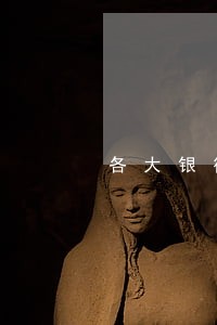 各大银行信用卡逾期宽限期大全