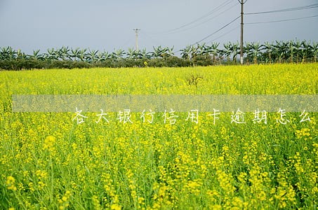 各大银行信用卡逾期怎么协商 各大银行信用卡逾期怎么协商