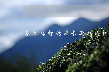 各大银行信用卡逾期还款协议 各大银行信用卡逾期还款协议