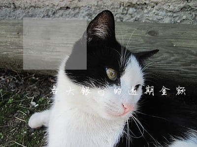 各大银行的逾期金额 各大银行的逾期金额