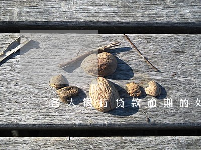 各大银行贷款逾期的处理 各大银行贷款逾期的处理