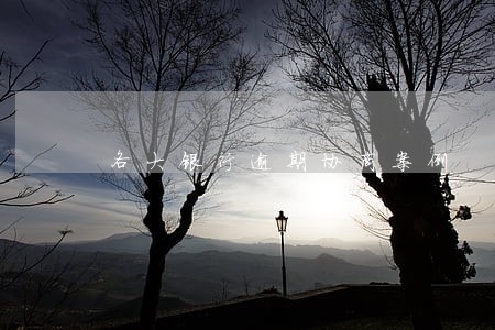 各大银行逾期协商案例