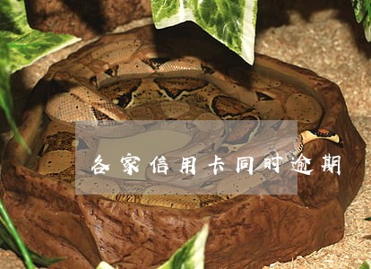 各家信用卡同时逾期 各家信用卡同时逾期