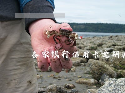 各家银行信用卡逾期减免 各家银行信用卡逾期减免