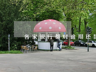 各家银行都对逾期还款次数有要求 各家银行都对逾期还款次数有要求