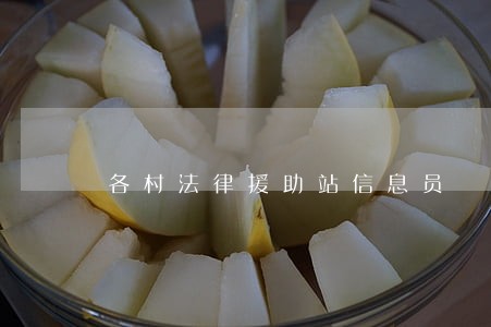 各村法律援助站信息员 各村法律援助站信息员