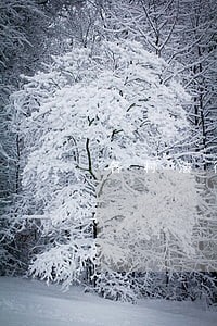 各村法律顾问开展情况 各村法律顾问开展情况