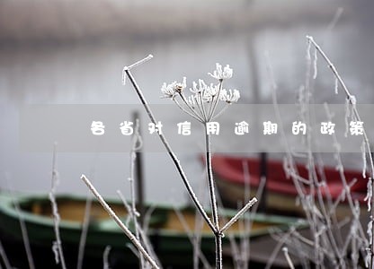 各省对信用逾期的政策规定 各省对信用逾期的政策规定