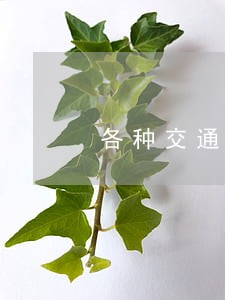 各种交通违法行为难逃法眼