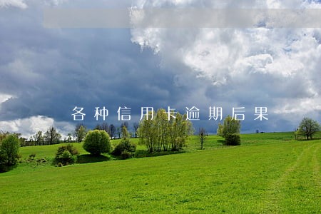 各种信用卡逾期后果 各种信用卡逾期后果