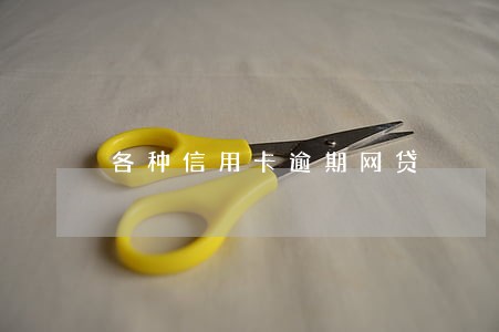 各种信用卡逾期网贷 各种信用卡逾期网贷