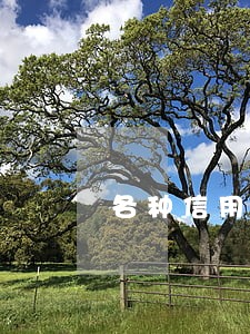 各种信用贷款70万逾期怎么办 各种信用贷款70万逾期怎么办