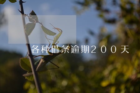 各种借条逾期200天 各种借条逾期200天