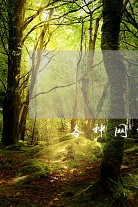 各种网贷信用卡逾期 各种网贷信用卡逾期