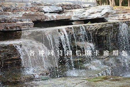 各种网贷和信用卡逾期怎么办 各种网贷和信用卡逾期怎么办