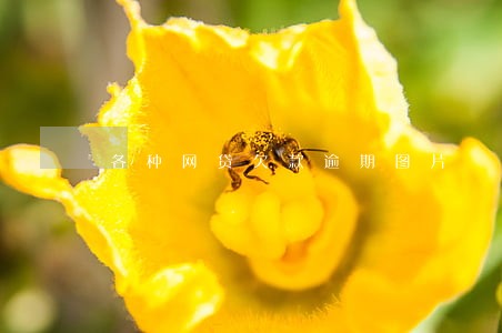 各种网贷欠款逾期图片 各种网贷欠款逾期图片