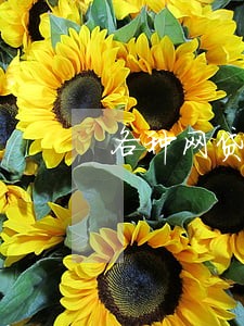 各种网贷秒拒无逾期 各种网贷秒拒无逾期