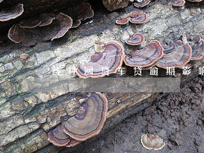 各种网贷车贷逾期影响房贷吗