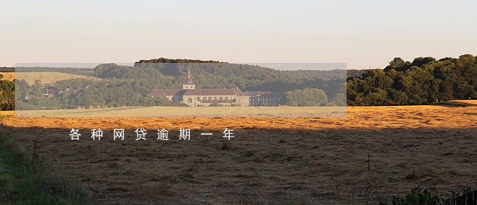 各种网贷逾期一年