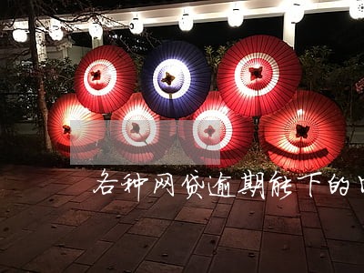 各种网贷逾期能下的口子 各种网贷逾期能下的口子