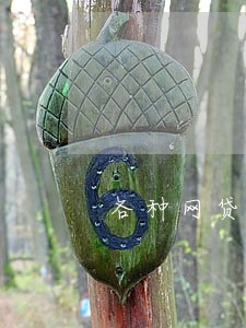 各种网贷都逾期了有什么后果