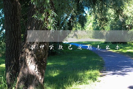 各种贷款已逾期怎么办 各种贷款已逾期怎么办