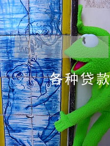 各种贷款逾期了怎么办 各种贷款逾期了怎么办