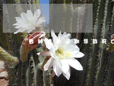 各种贷款逾期导致死亡 各种贷款逾期导致死亡