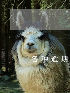 各种逾期太多了怎么贷款