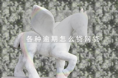 各种逾期怎么贷网贷 各种逾期怎么贷网贷
