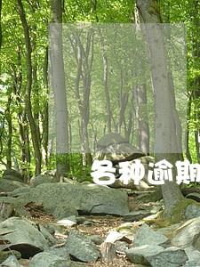 各种逾期负债高还想借1万 各种逾期负债高还想借1万