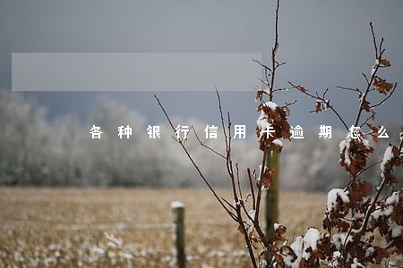 各种银行信用卡逾期怎么办 各种银行信用卡逾期怎么办