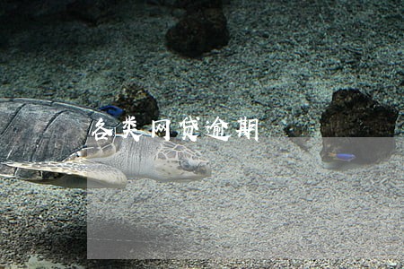 各类网贷逾期 各类网贷逾期